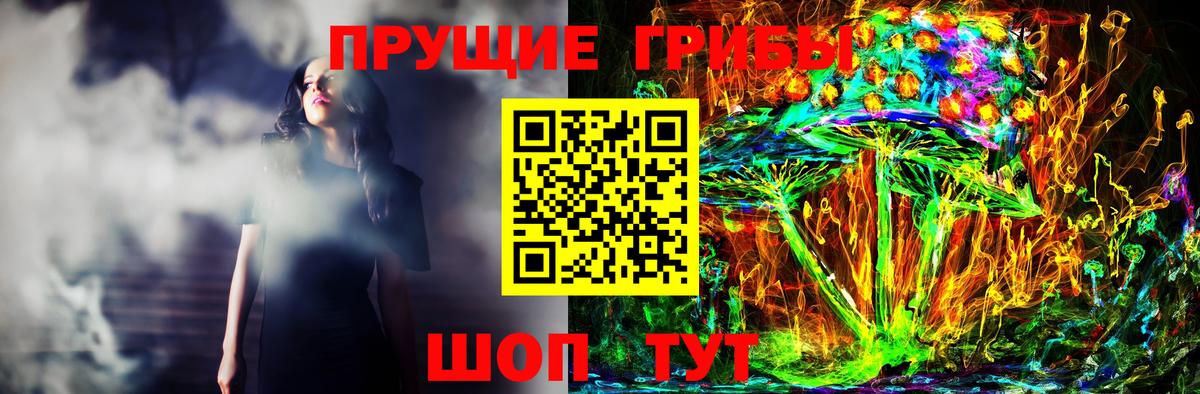 Псилоцибиновые грибы мицелий Скопин
